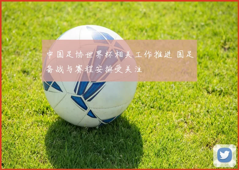 中国足协世界杯相关工作推进 国足备战与赛程安排受关注