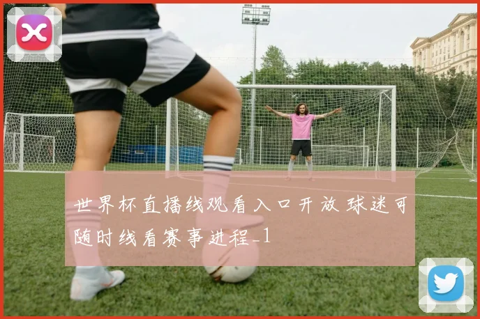 世界杯直播线观看入口开放 球迷可随时线看赛事进程_1